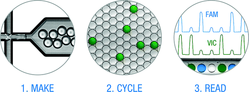 Droplet Generation Oil